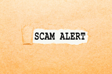 text SCAM ALERT on a torn piece of paper, business concept