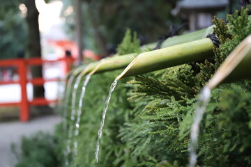 water drops on a window