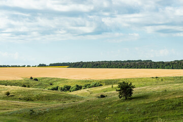Fototapeta na wymiar Ukrainian land landscape