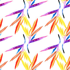 Obraz premium seamless pattern of multicolored tropical strelitzia flower hand-painted in watercolor on a white background. strelitzia bright flower petals blue purple orange red yellow on white background for wall