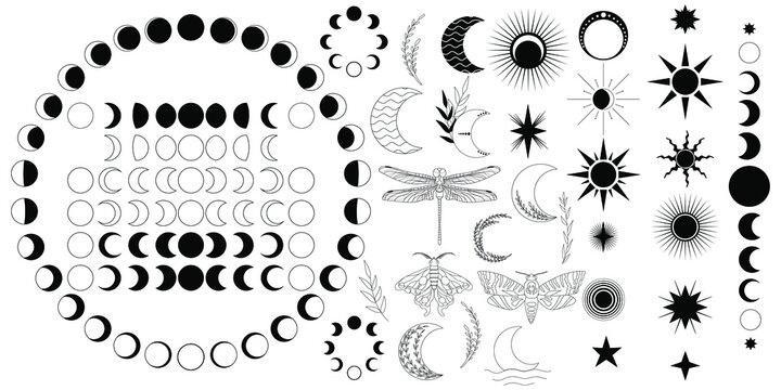 Big vector set of celestial ellements. Moon phases, stars and sun, butterfly, dragonfly, lunar and death head moth, plants. Moon phases for both Northern and South hemisphere. Isolated black icons.