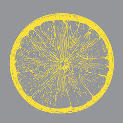 Minimal concept. One round slice of lemon fruit. Illuminating colour fruits on ultimate gray background. Design element. Full depth of field.