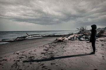 Surreal landscape of winter beach with tree trunks carried by the sea 