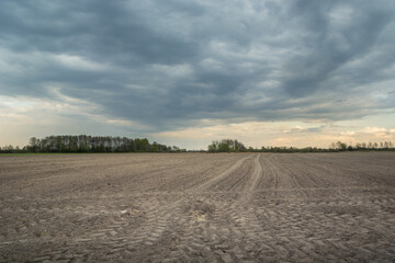 Fototapeta na wymiar Ploughed field with tractor tracks and cloudy sky
