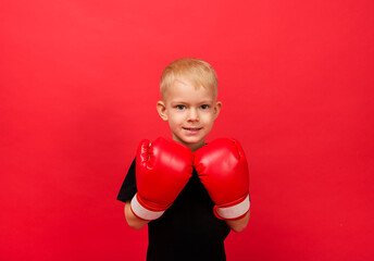 a little boy sportsman in red boxing gloves on a red background with space for text