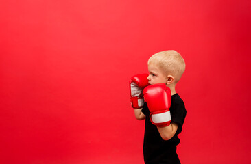 small boxer in red boxing gloves stands sideways in a stand on a red background with space for text