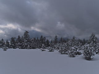 Winter landscape with deep snow and edge of coniferous forest with frozen trees and cloudy sky near Schliffkopf, Baden-Württemberg, Germany in Black Forest with clouds on the sky.