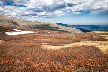 Landscape in the Mount Evans Wilderness, Colorado