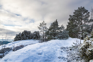 Fototapeta na wymiar Natural winter landscape on a hill with trees and snow in Sweden