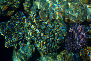 calm mediterranean sea, water