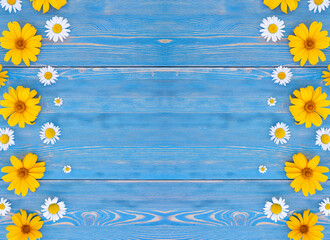chamomile flowers on a blue wooden background