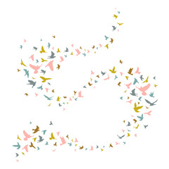 Flying birds silhouette illustration. Vector background