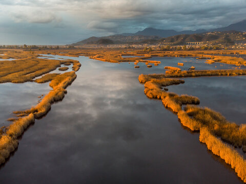 Vista aerea degli specchi d'acqua limitrofi al lago di Massaciuccoli in Toscana, nel parco naturale di San Rossore, Migliarino e Massaciuccoli