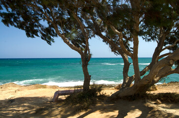 trees on the beach, coast and sea, waves, Gouves, Crete, Greece