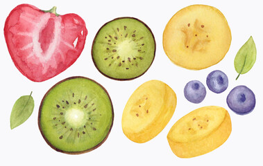 Watercolor Summer Fruit Set. Summer illustration. Fruit slices art