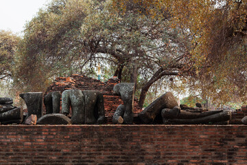 Fototapeta premium ruined Buddha Images in world heritage site Ayuthaya