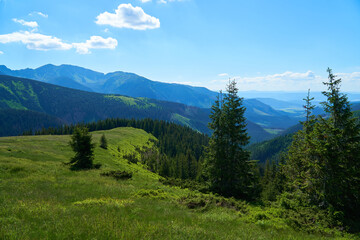 Obraz premium Summer mountain landscape in Poland, the Tatra Mountains. 