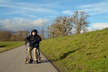  rheinuferlandschaft  bei guntersblum