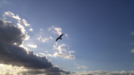 flight over the clouds