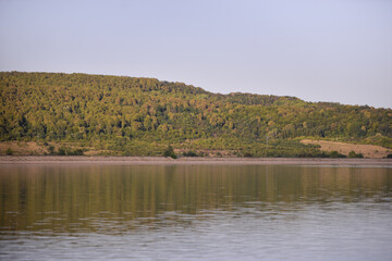 green forest reflecting in the luster of the lake