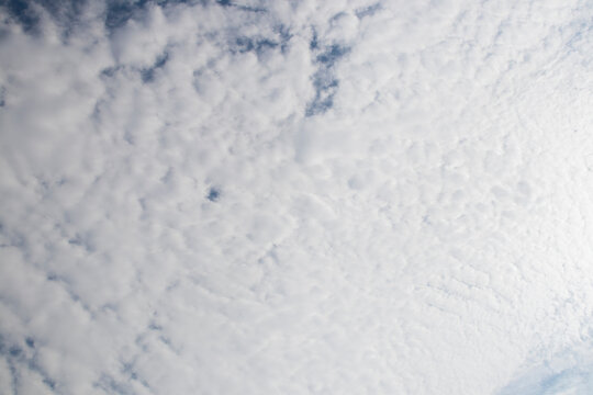 Blanket of textured white clouds with a few hints of blue showing through
