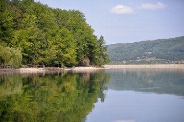 green forest reflecting in the luster of the lake