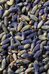 Homemade Purple Lavender Herbs