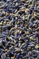 Homemade Purple Lavender Herbs