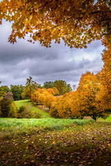 Naklejka premium Autumn in the park