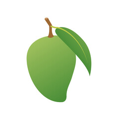 Raw mango vector. Raw mango on white background. Green mango.