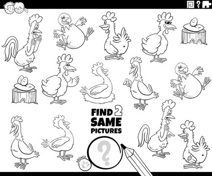 find two same chicken characters task coloring book page