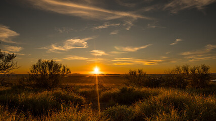 sunset over the field