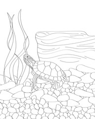 Zentangle stylized cartoon turtle swimming among the seaweed. Drawn sketch for adults anti-stress coloring, t-shirt emblem, logo or tattoo with doodle,floral design elements.