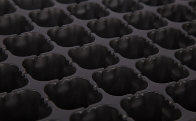 Obraz premium Black cassette for seedlings on a white background.