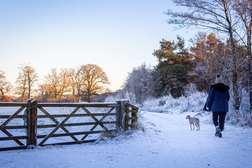 woman walking her dog in the snow