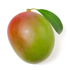 Ripe fresh mango isolated on a white background