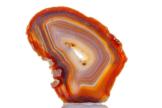 macro mineral stone agate on a white background