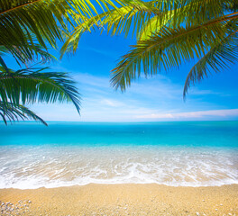 Panele Szklane  tropikalna plaża z palmami kokosowymi