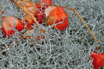 fishing nets and floats