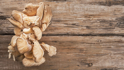 Oyster mushroom harvest lies on an old wooden table, layout with copy space. Fresh tasty mushrooms for healthy eating and cooking