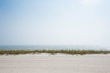 Empty beach on gulf coast  © Mackenzie