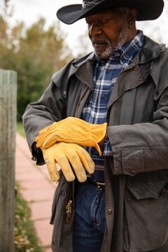 Senior male rancher putting on yellow working gloves