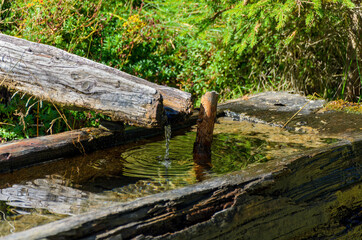  water pouring into an old rotten wooden well trough in Tirol, Austria
