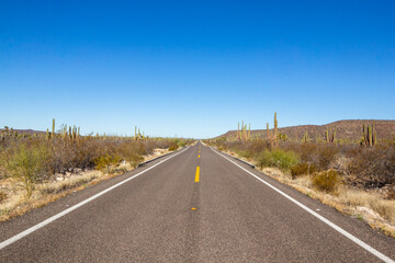 Desert Roadtrip