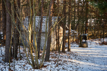zimowe drzewa, mały domek  © Marcin Łazarczyk