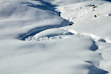 Fototapeta na wymiar Winter Landscape with snow banks