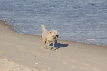 The Hamptons, Long Island, New York