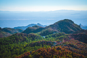 Mt. Lemmon Tucson, AZ