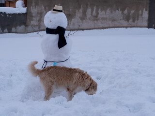 BEAUTIFUL PHOTO OF A DOG NEXT TO A HUGE SNOWMAN AFTER A TREMENDOUS SNOW