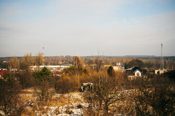 zimowe drzewa , łąka 